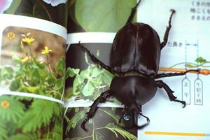 旭神の緑の森動物病院：最先端医療設備と充実のサポート体制で地域のペットと飼い主を支える総合病院