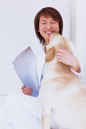 犬専用の質の良い木製玩具をお探しなら