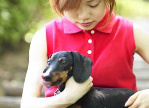 抜群の可愛さを持つティーカッププードル