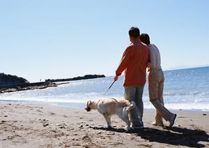 平塚で明るくてリラックスできる動物病院