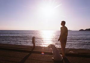 ペットの葬儀を専門にしている会社