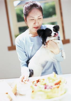 憩いの場と話題の原宿のチンチラカフェ