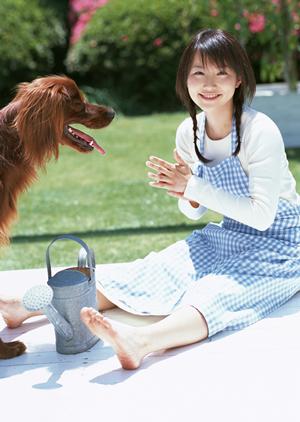 シロアリ駆除の信頼と実績を誇るアサンテ|即日対応・土日祝日も受付可能なサービス