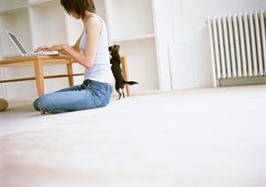 ペットの移動を快適に!タクシー利用時の安全対策と選び方ガイド